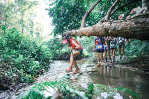 BIB: 
                            <button type="button" onclick="openModal(25445098)" class="btn btn-primary btn-sm float-right btn-popup" data-toggle="modal" data-target=".modal-high-quality">
                        <i class="fas fa-shopping-cart"></i> Add to Cart
                    </button>
                                            <button type="button" onclick="isThisMe(25445098, true)" class="btn btn-success btn-sm float-right btn-popup btn-isme hidden" data-toggle="tooltip" data-placement="bottom" title="นี่คือรูปของคุณใช่ไหม คลิกที่นี่เพื่อเอาเข้าอัลบั้ม">
                        <i class="fas fa-plus"></i> Add to album
                    </button>
                    <button type="button" onclick="isThisMe(25445098, false)" class="btn btn-warning btn-sm float-right btn-popup btn-isnotme hidden">
                        <i class="fas fa-ban"></i> Remove from album
                    </button>